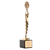 next.awards.awardcardList.item19.title